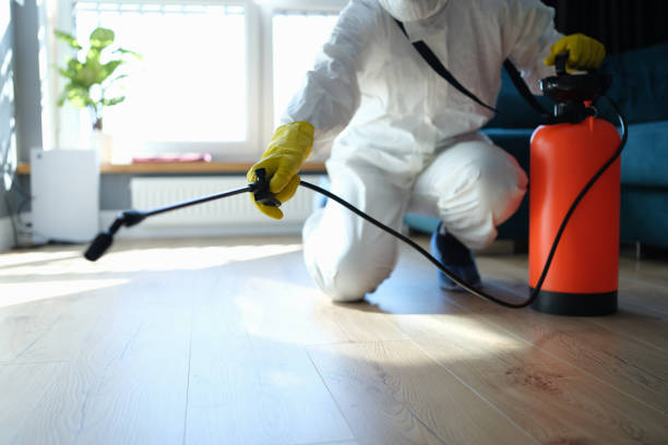 Reliable Hoarding Cleanup contractor in Salem, IL by Dulley Family Biohazard Services